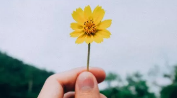 ��ʲô����ȥ������